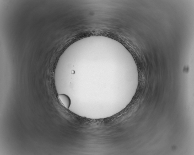 X0000102830865200808181047