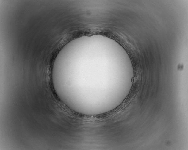 X0000102830866200808181047