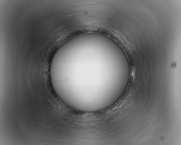 X0000102830867200808181047