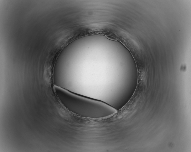 X0000102830868200808181047