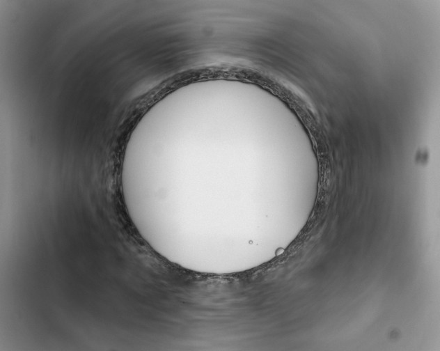 X0000102830869200808181047