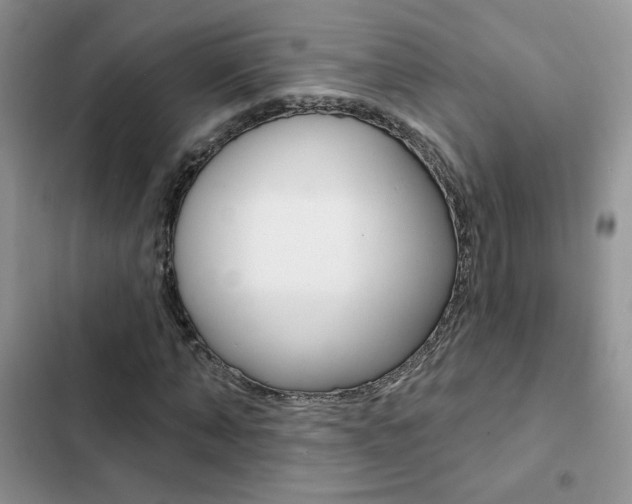 X0000102830870200808181047