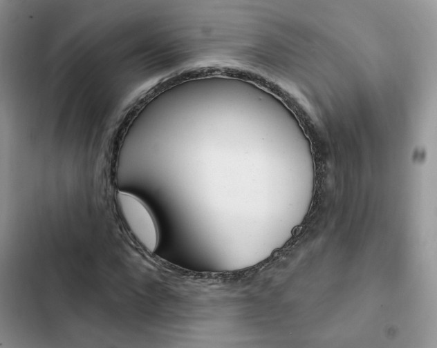 X0000102830872200808181047