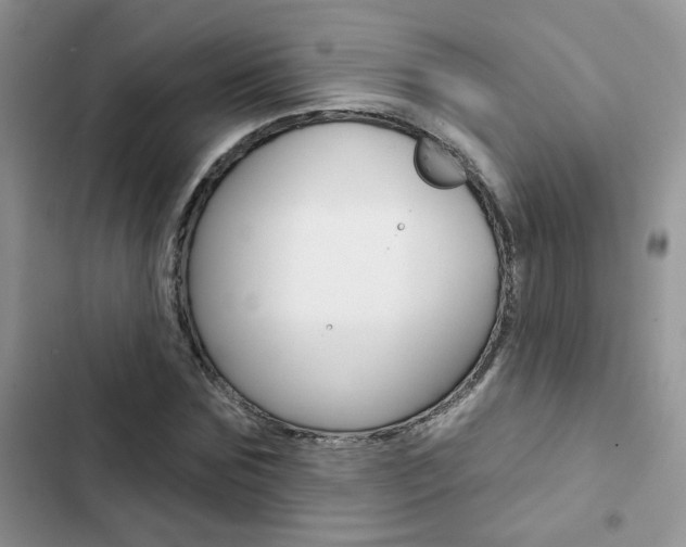 X0000102830875200808181046