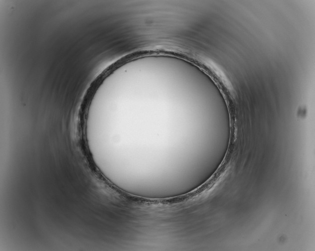 X0000102830876200808181046