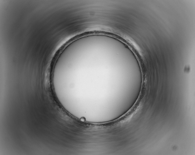 X0000102830877200808181046