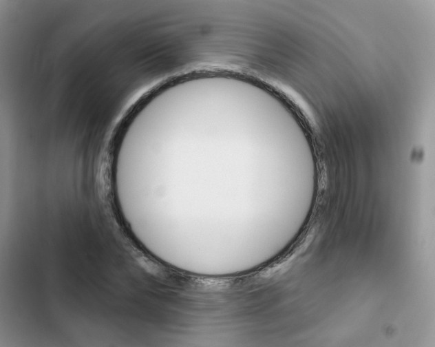 X0000102830878200808181046