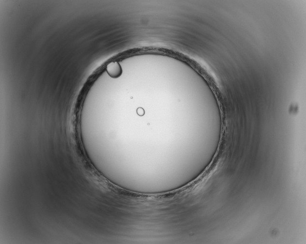 X0000102830879200808181046