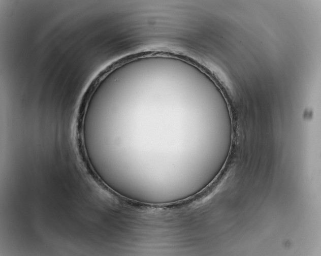 X0000102830880200808181046