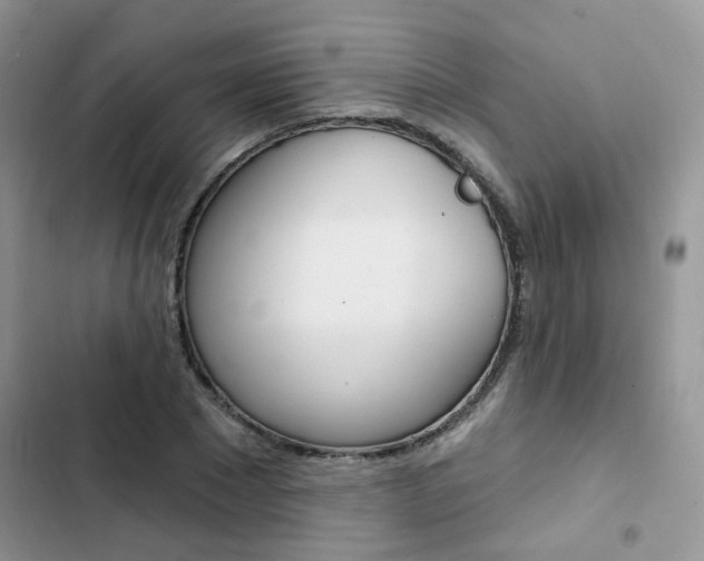 X0000102830881200808181046