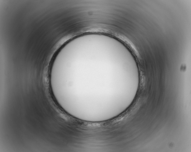 X0000102830882200808181046