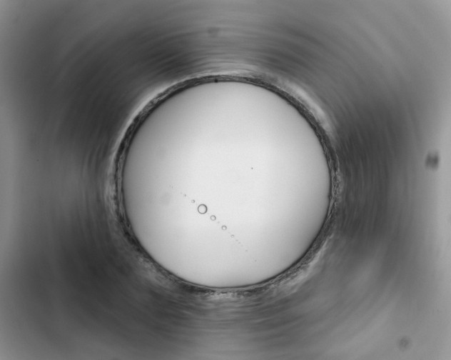 X0000102830883200808181046