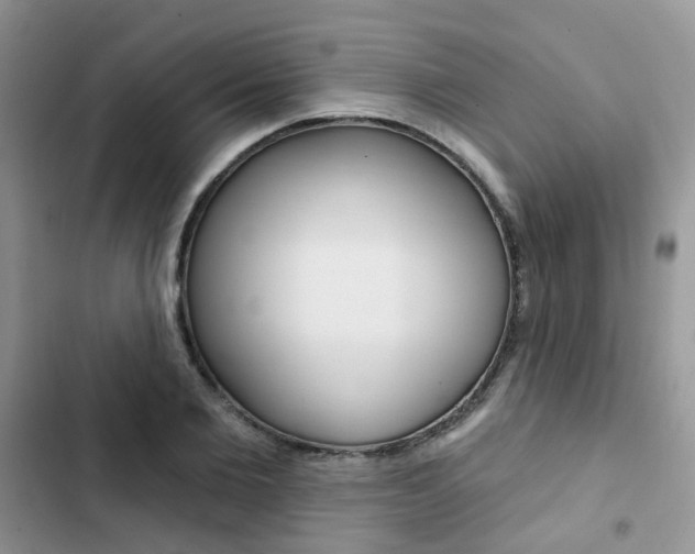 X0000102830885200808181046