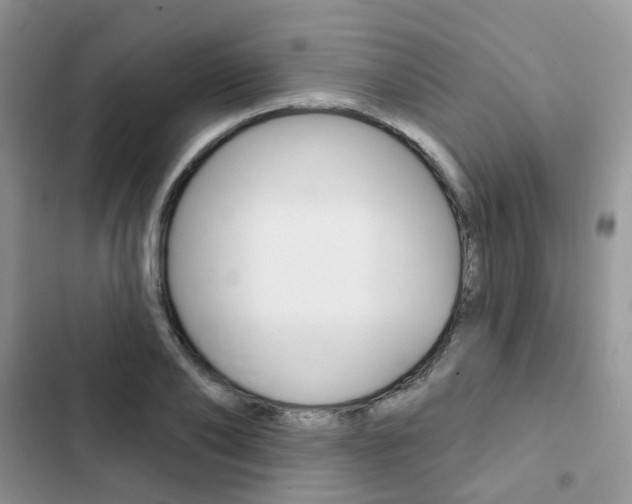 X0000102830886200808181046