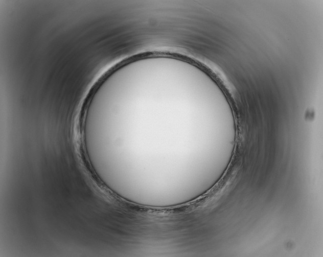 X0000102830887200808181046