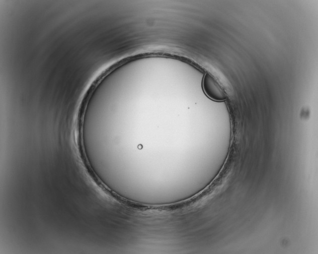 X0000102830888200808181046