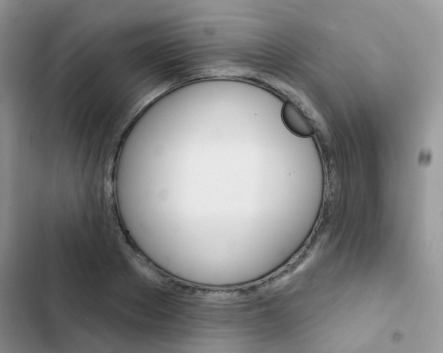 X0000102830889200808181046
