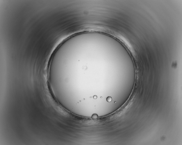 X0000102830891200808181046