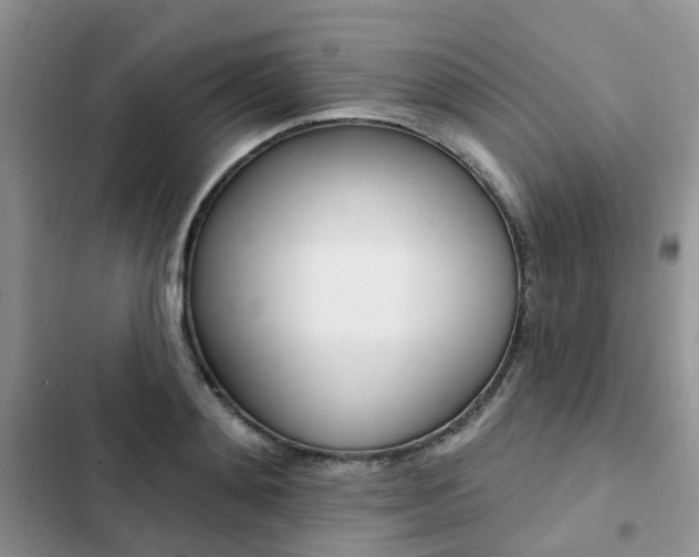X0000102830892200808181046