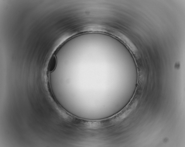 X0000102830893200808181046