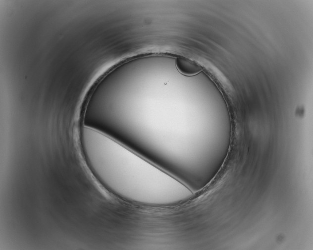 X0000102830894200808181046