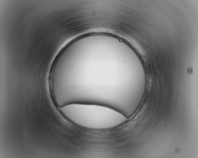 X0000102830895200808181046