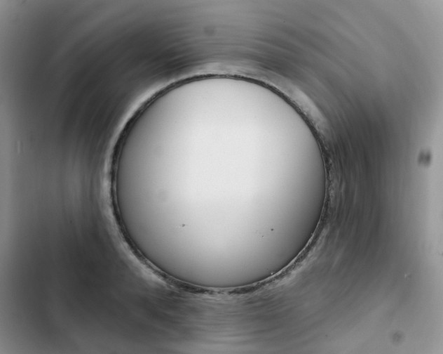 X0000102830896200808181046