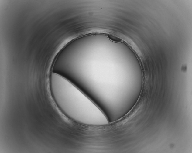 X0000102830898200808181046