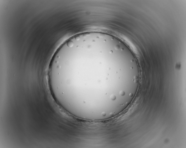 X0000102830899200808181046