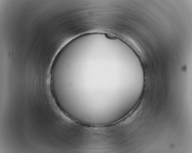 X0000102830900200808181046