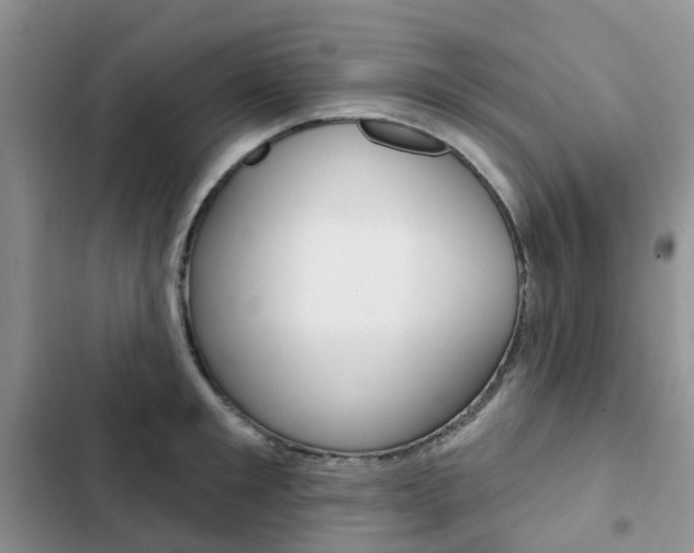 X0000102830901200808181046
