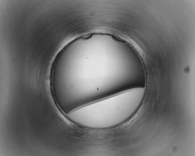 X0000102830902200808181046