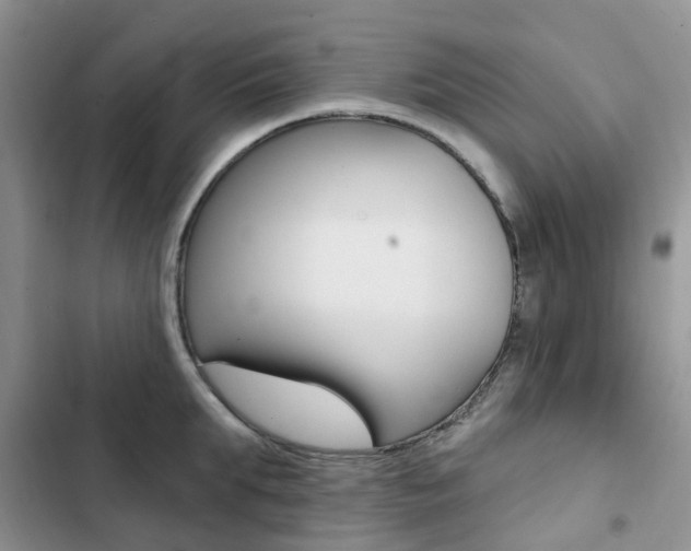 X0000102830903200808181046