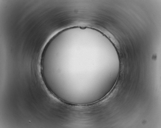 X0000102830904200808181046