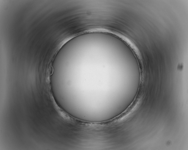 X0000102830905200808181046