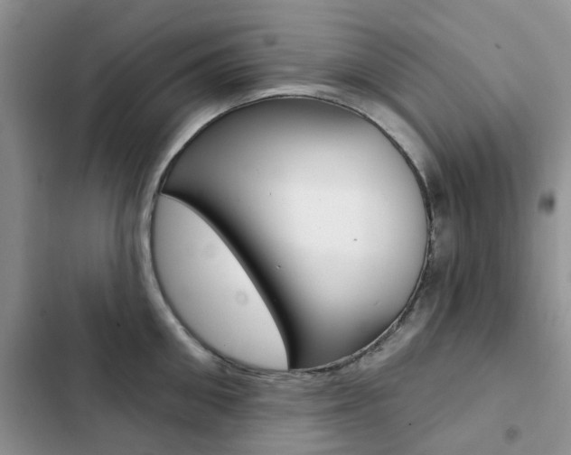 X0000102830906200808181046