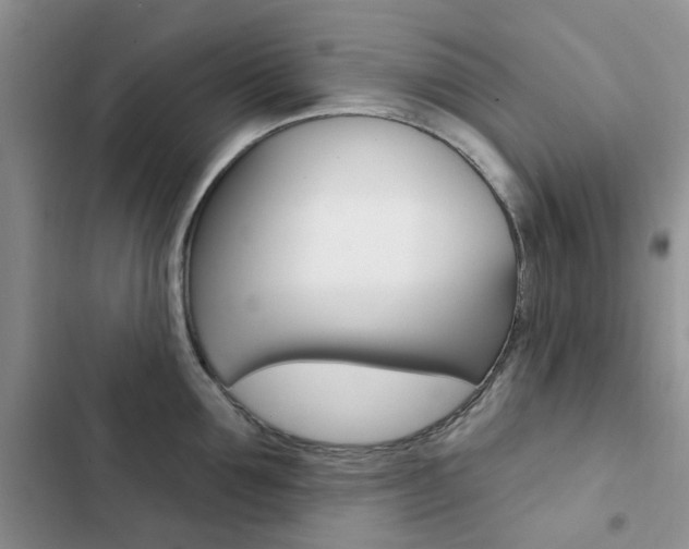 X0000102830907200808181046