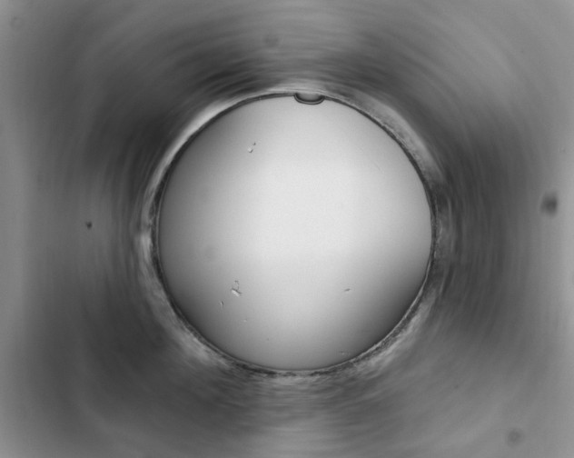 X0000102830908200808181046