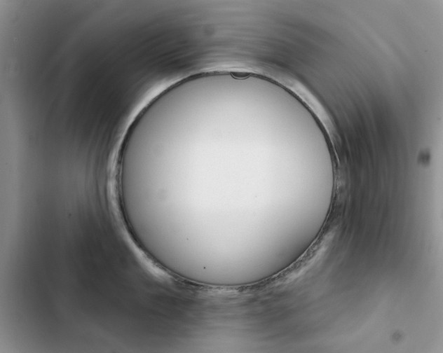 X0000102830909200808181046