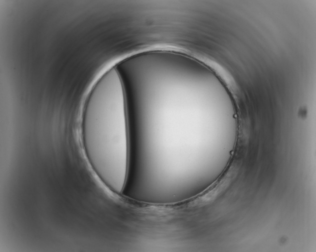 X0000102830910200808181046