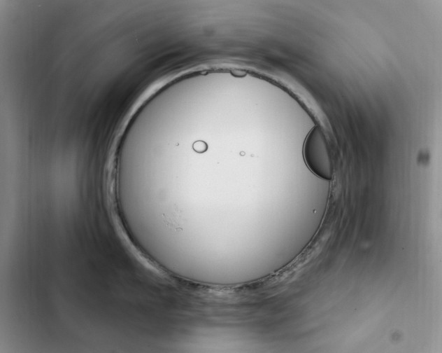 X0000102830911200808181046