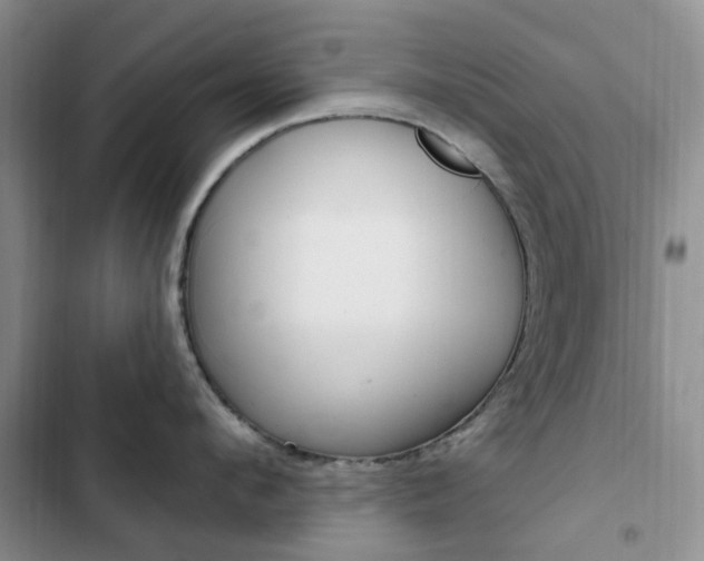X0000102830912200808181046