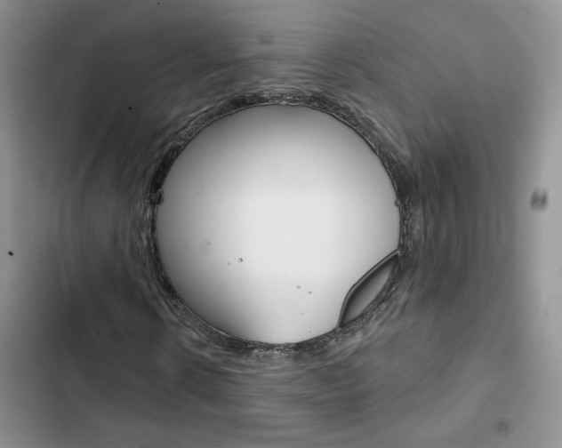 X0000102830914200808181045