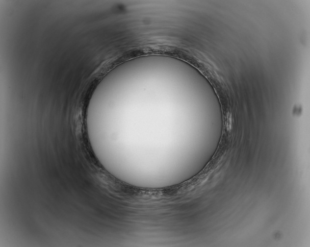 X0000102830915200808181045