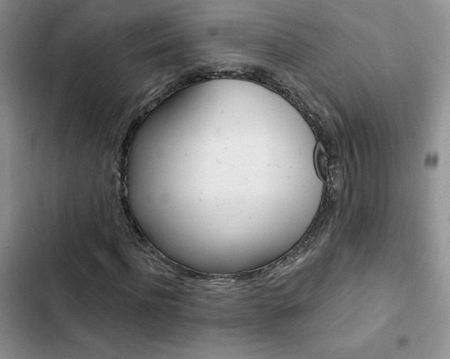 X0000102830916200808181045