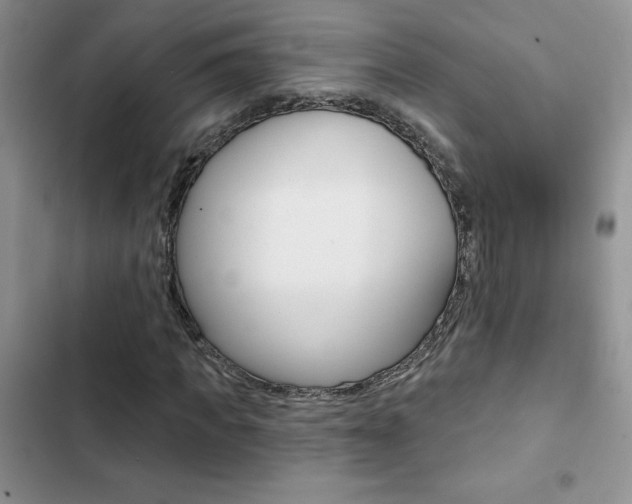 X0000102830917200808181045