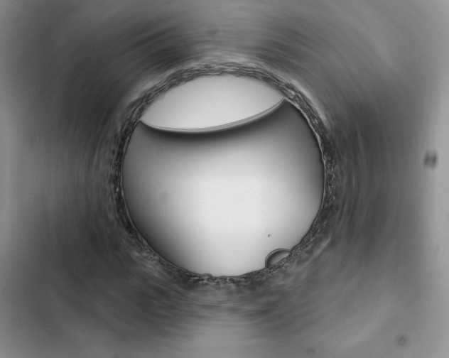 X0000102830919200808181045