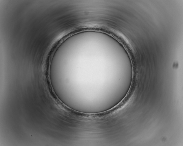 X0000102830922200808181045