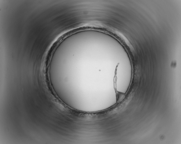 X0000102830923200808181045