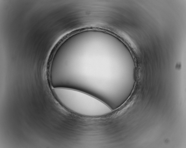 X0000102830924200808181045